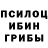 Галлюциногенные грибы прущие грибы Olimov Furkat